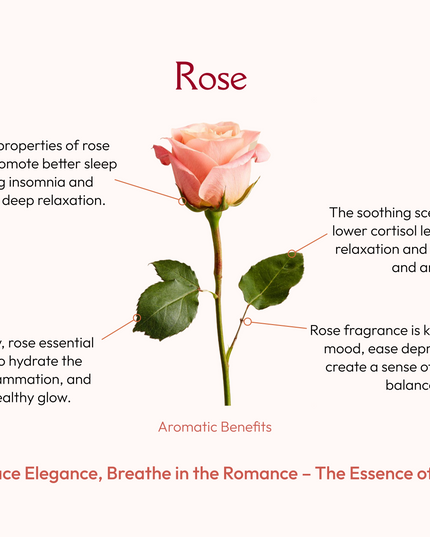 Palo Santo with Rose