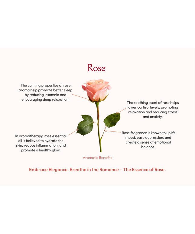 Palo Santo with Rose
