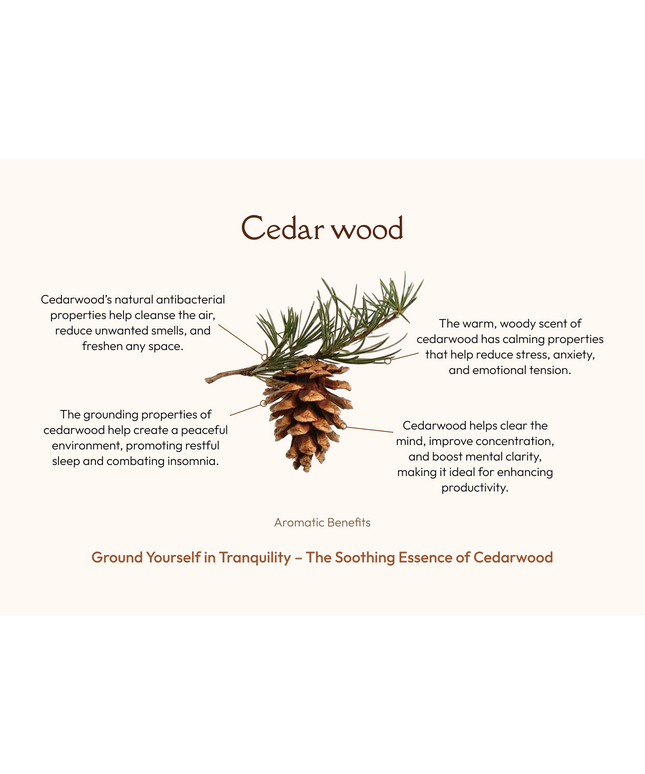 Palo Santo with Cedarwood