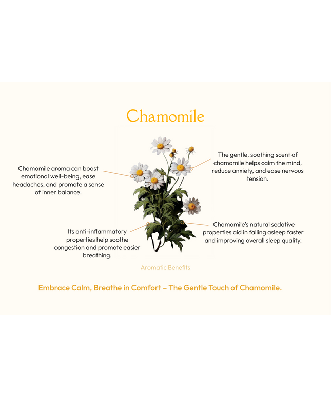 Palo Santo with Chamomile