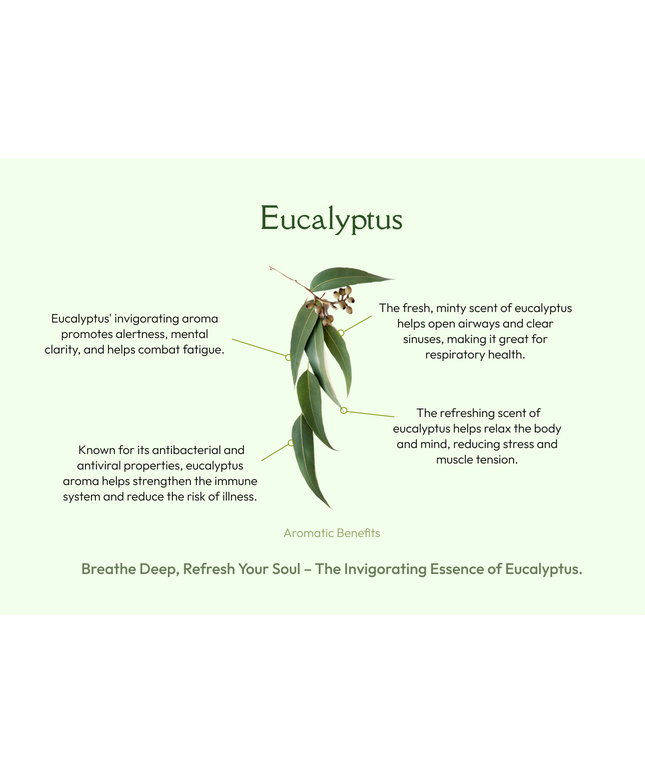 Palo Santo with Eucalyptus