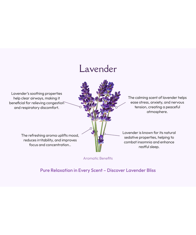 French Lavender