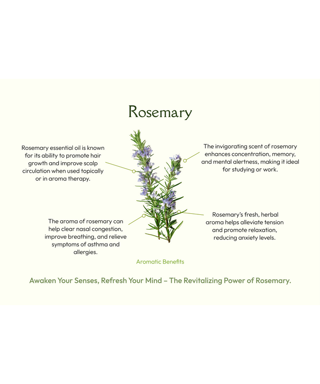 Palo Santo with Rosemary