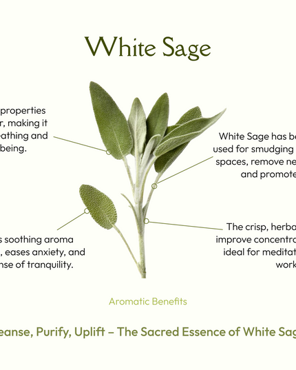 Natural White Sage
