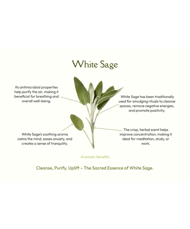 Natural White Sage